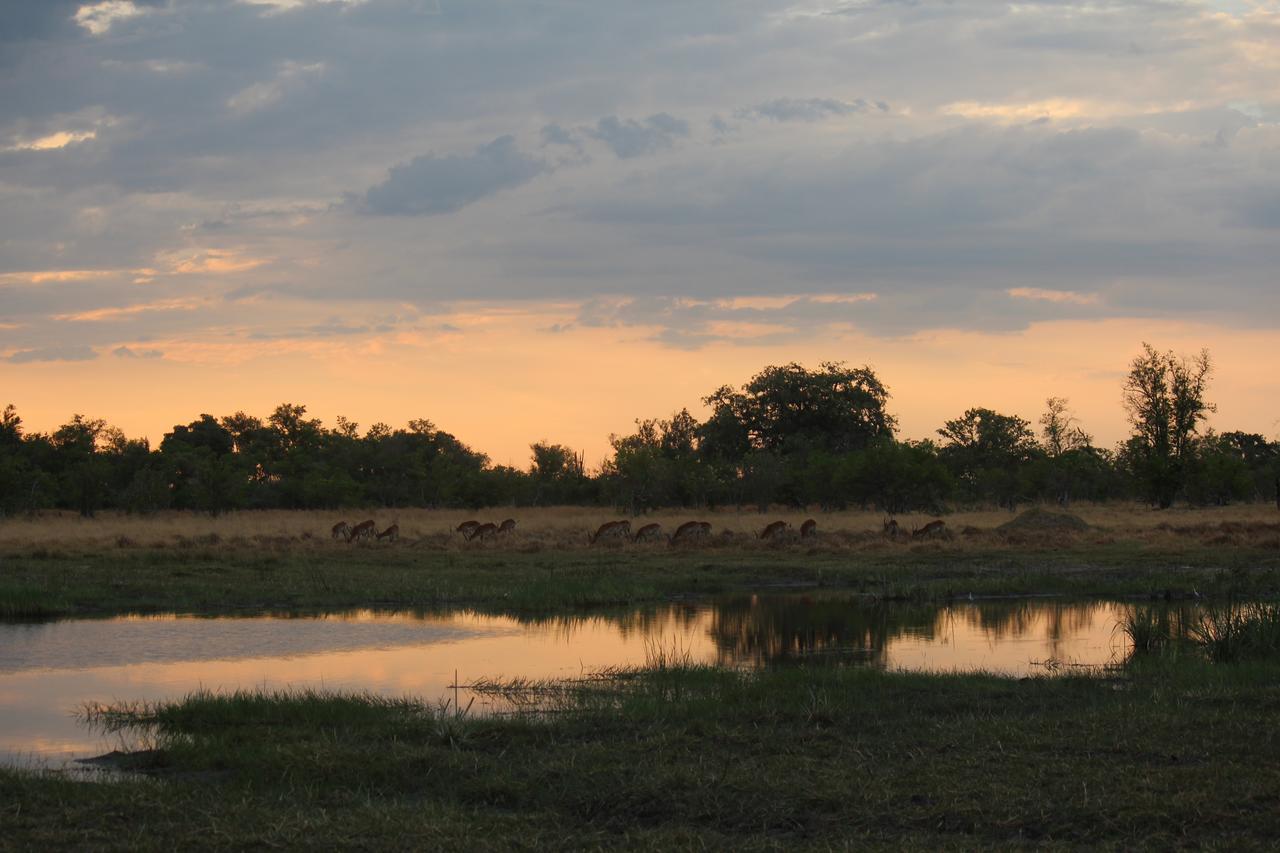 Cresta Maun Hotel Kültér fotó